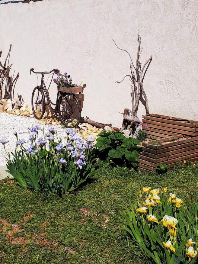 Saint-Maximin Les Coronilles Bed & Breakfast エクステリア 写真